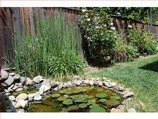 3rd image of 857 Camrose Ct