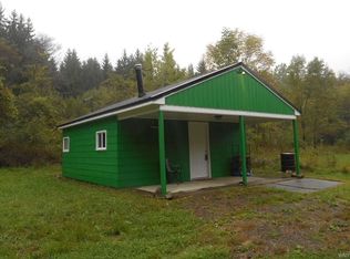 13099 Pratham Rd, Springville, NY 14141