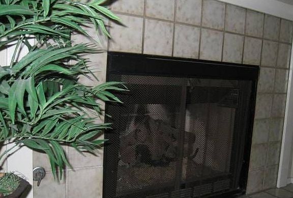 Fireplace with gas logs