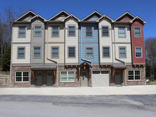 148 Creekside Dr, Snowshoe, WV 26209