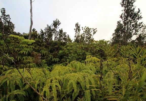 2nd image of Nahelenani St Lot 53-B
