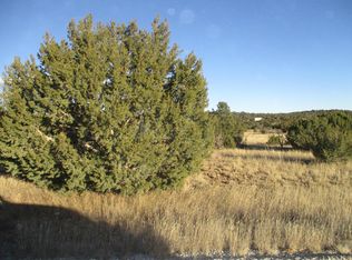32 Woodline Dr, Edgewood, NM 87015