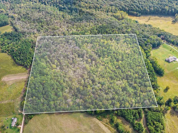 40 County Road 334, Collinsville, AL 35961