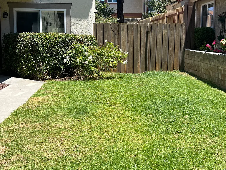 176 Shamrock Ct — Photo 18