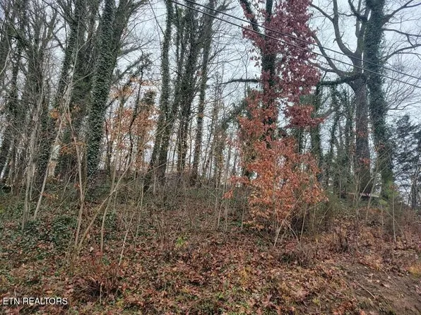 Garden Ave, Oliver Springs, TN 37840