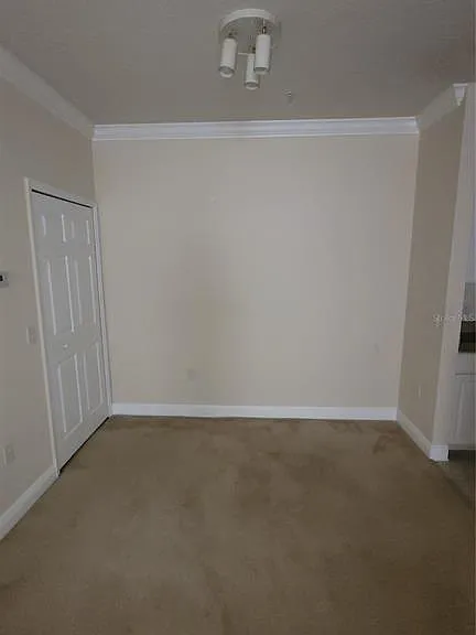 430 Southern Pecan Cir #203 — Photo 8
