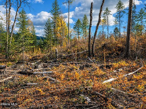 2nd image of 1 Crosswhite Rd