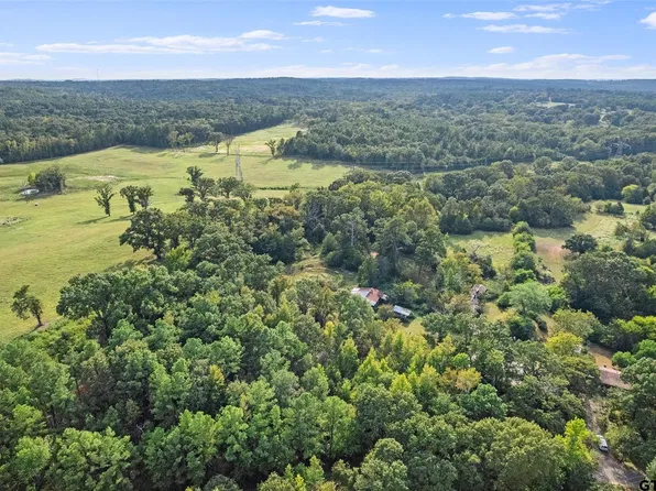 2605 Vz Countyroad #4923, Ben Wheeler, TX 75754