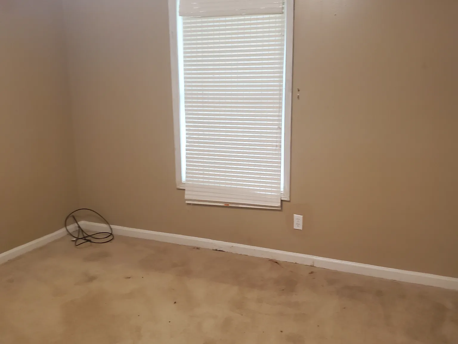 2 bed, 1604 sqft, $1,490 — Photo 3
