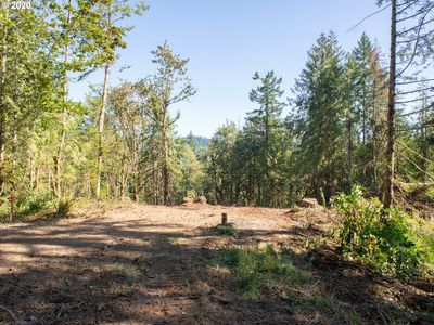 Peninsula Rd, Fall Creek, OR, 97438