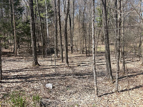 5th image of LOT 2 Sweetfern Ln