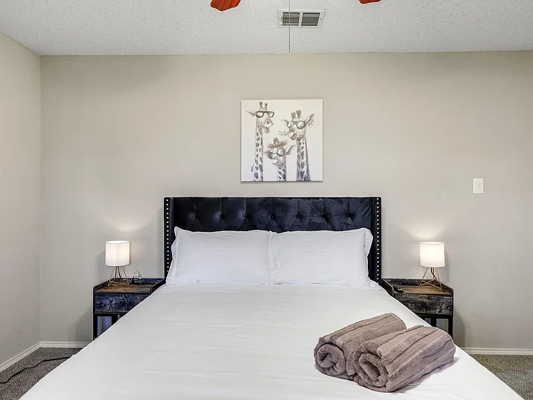 3116 Paolo Dr — Photo 2