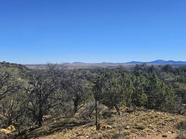4 County Rd, Concho, AZ 85924