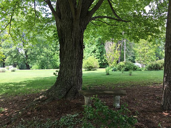 Side yard towards street