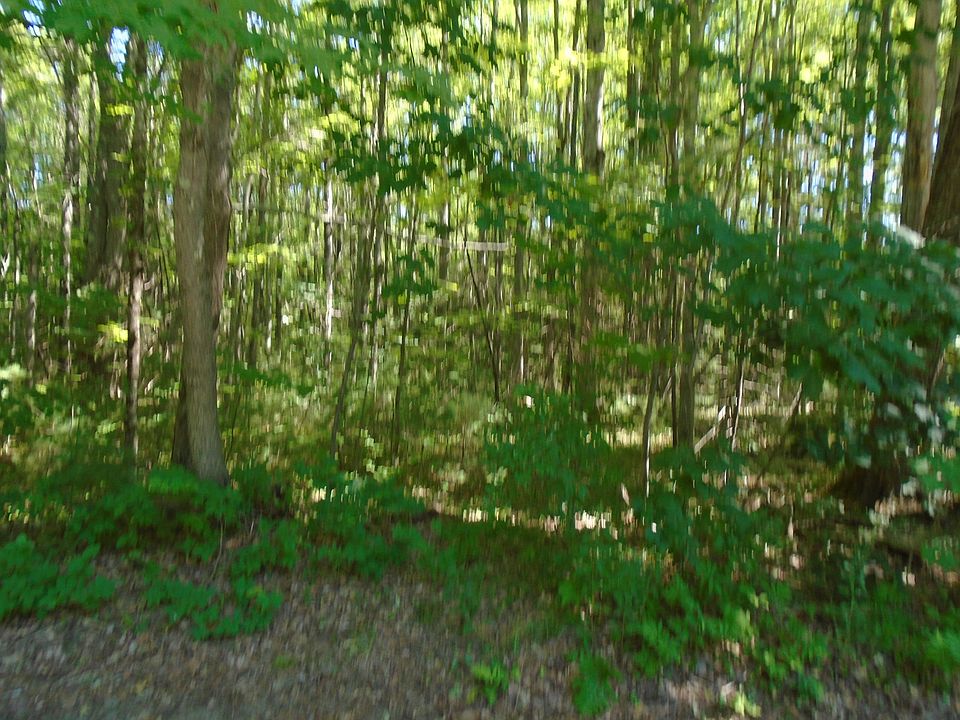 2nd image of M2-L50 Mouse Lane