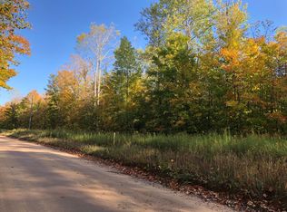 Webster Rd, Elmira, MI 49730