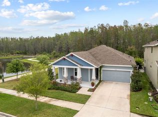 15241 Renaissance Ave, Odessa, FL 33556