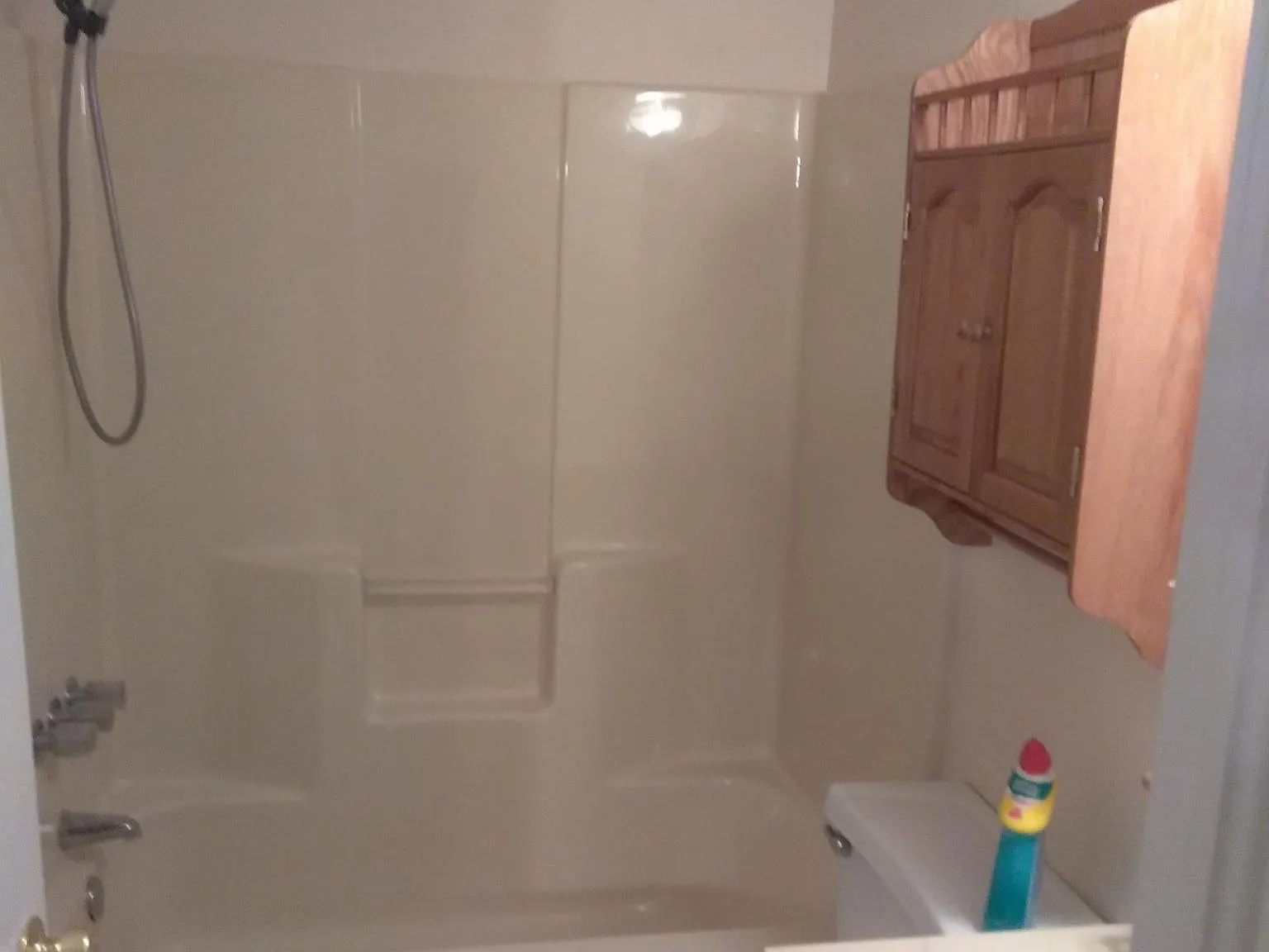 1 bed, 824 sqft, $1,100 — Photo 2