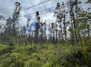 Road 6 Ooaa LOT 4379, Kurtistown, HI 96760