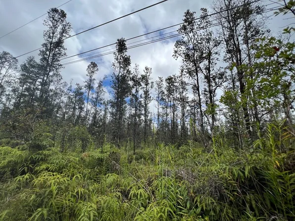 Road 6 Ooaa Lot 4379, Kurtistown, HI 96760