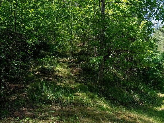 3rd image of Lot 18 Narrow Gauge Drive #18