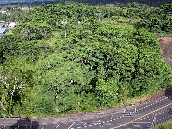 4th image of 1980 Kilo Hoku Pl Lot 1