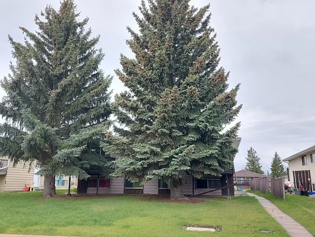 Pet Friendly 2 Bedroom Unit in Clearview Meadows! — Photo 2