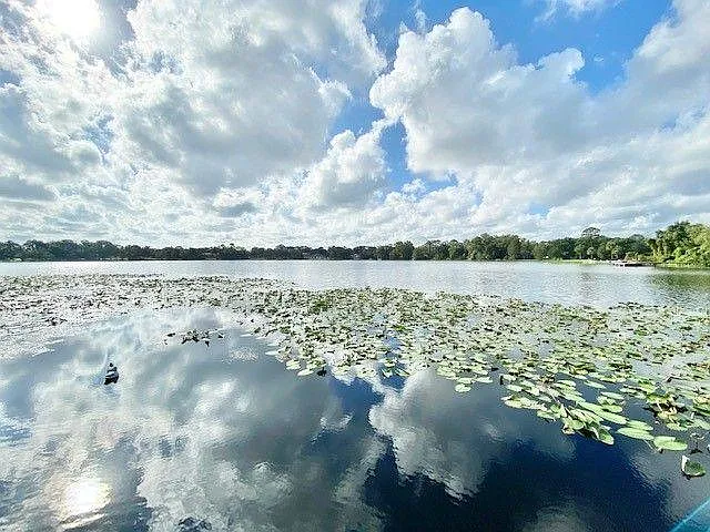 534 Lake Wildmere Cv — Photo 39