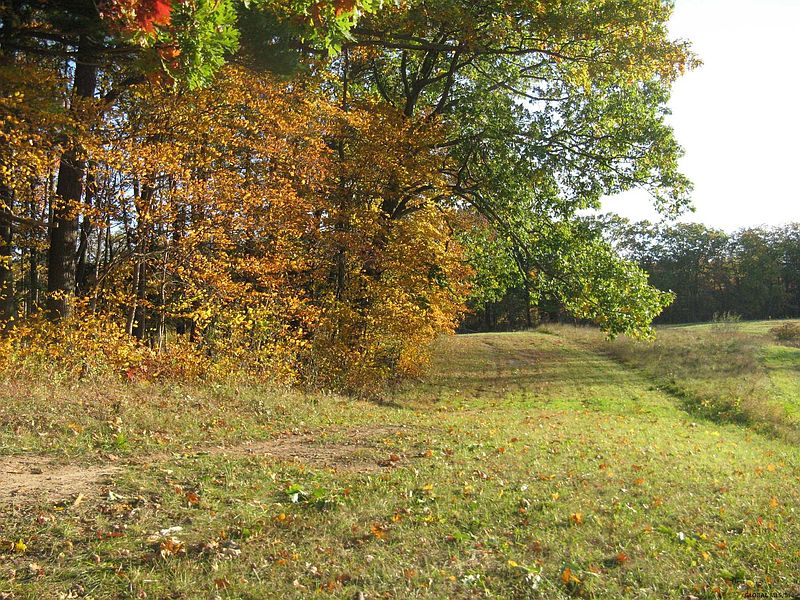 5th image of 0 FONT GROVE Road