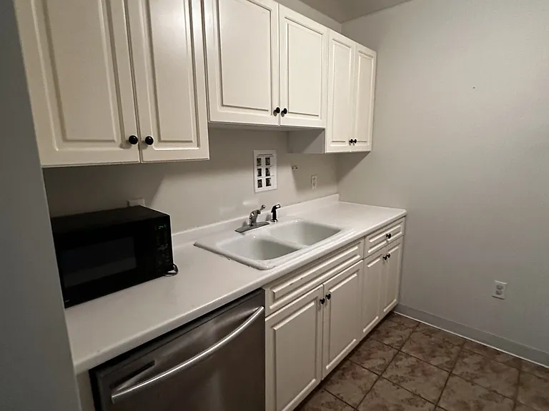 387 Commonwealth Ave #B4D — Photo 3