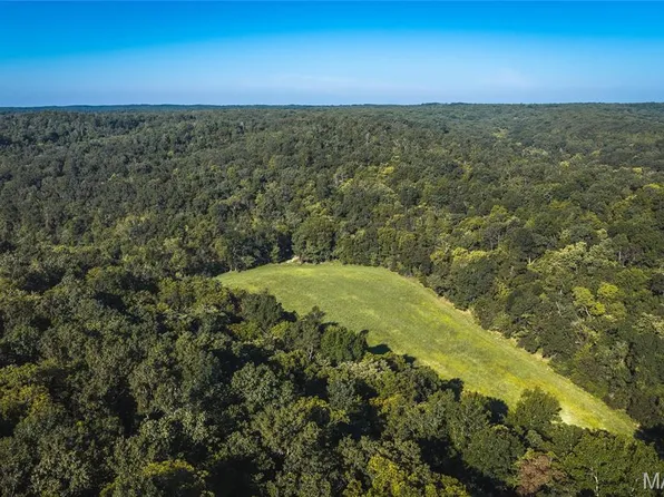 (undisclosed Address), Steelville, MO 65565