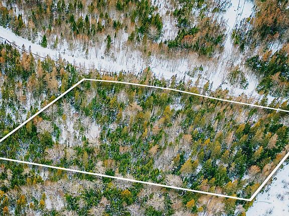 5th image of Cameron Rd