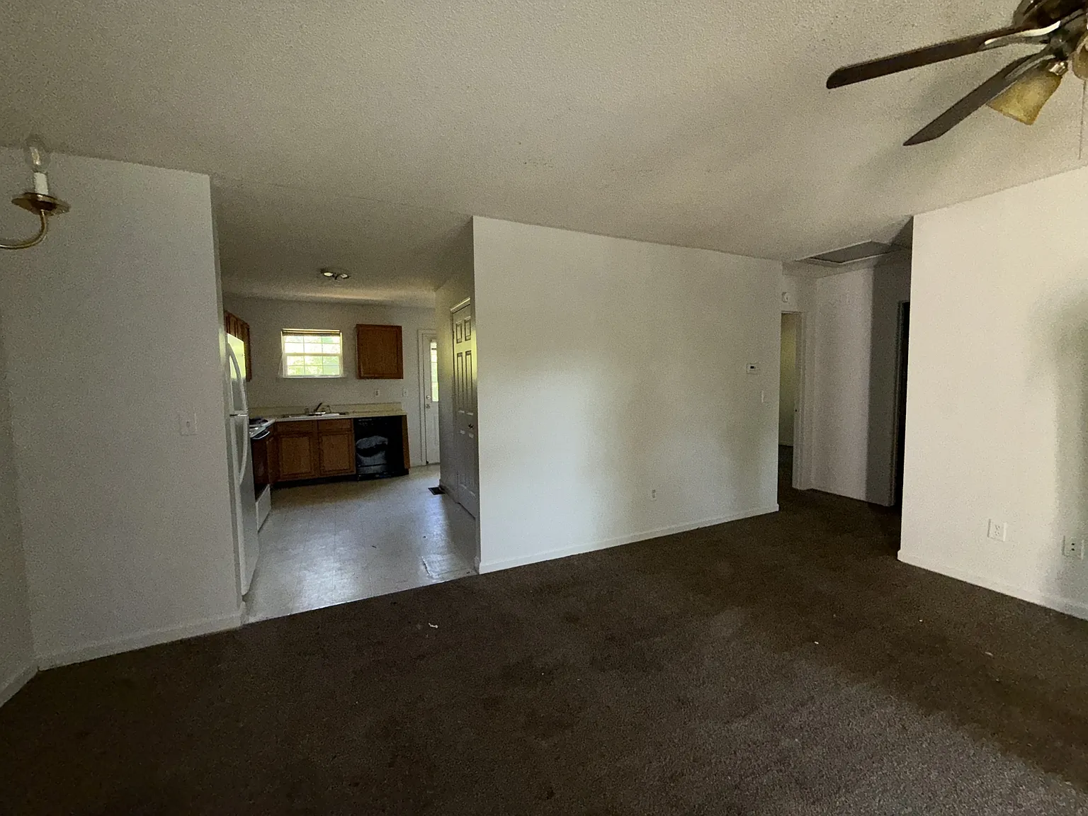 161 Shamrock Lane - A — Photo 3