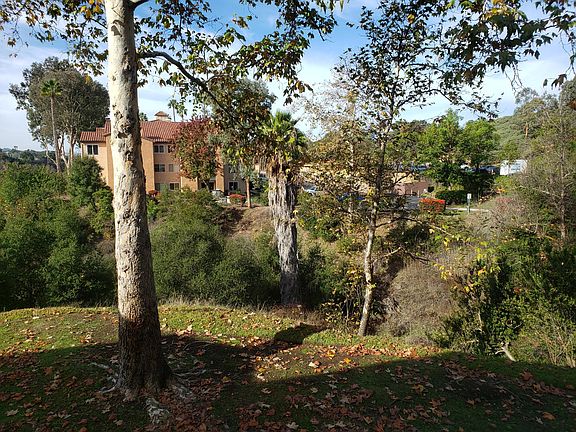 3rd image of 7190 Shoreline Dr #6206