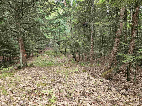 35 Langway Road, Lyman, NH 03585