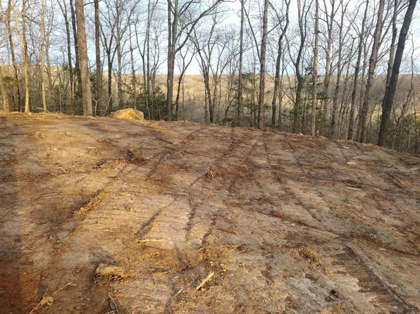 TRACT 1 Alamo Dr, Mountain View, AR 72560