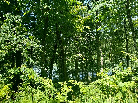3rd image of Laurel Lake Cir