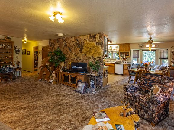 Living room into kitchen are