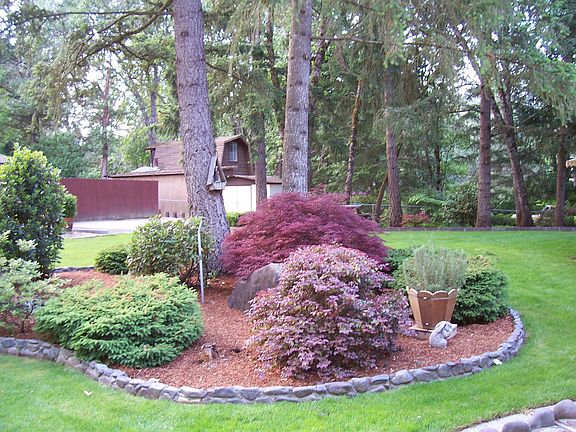 Back yard