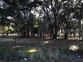 2nd image of 22214 Mondon Hill Rd