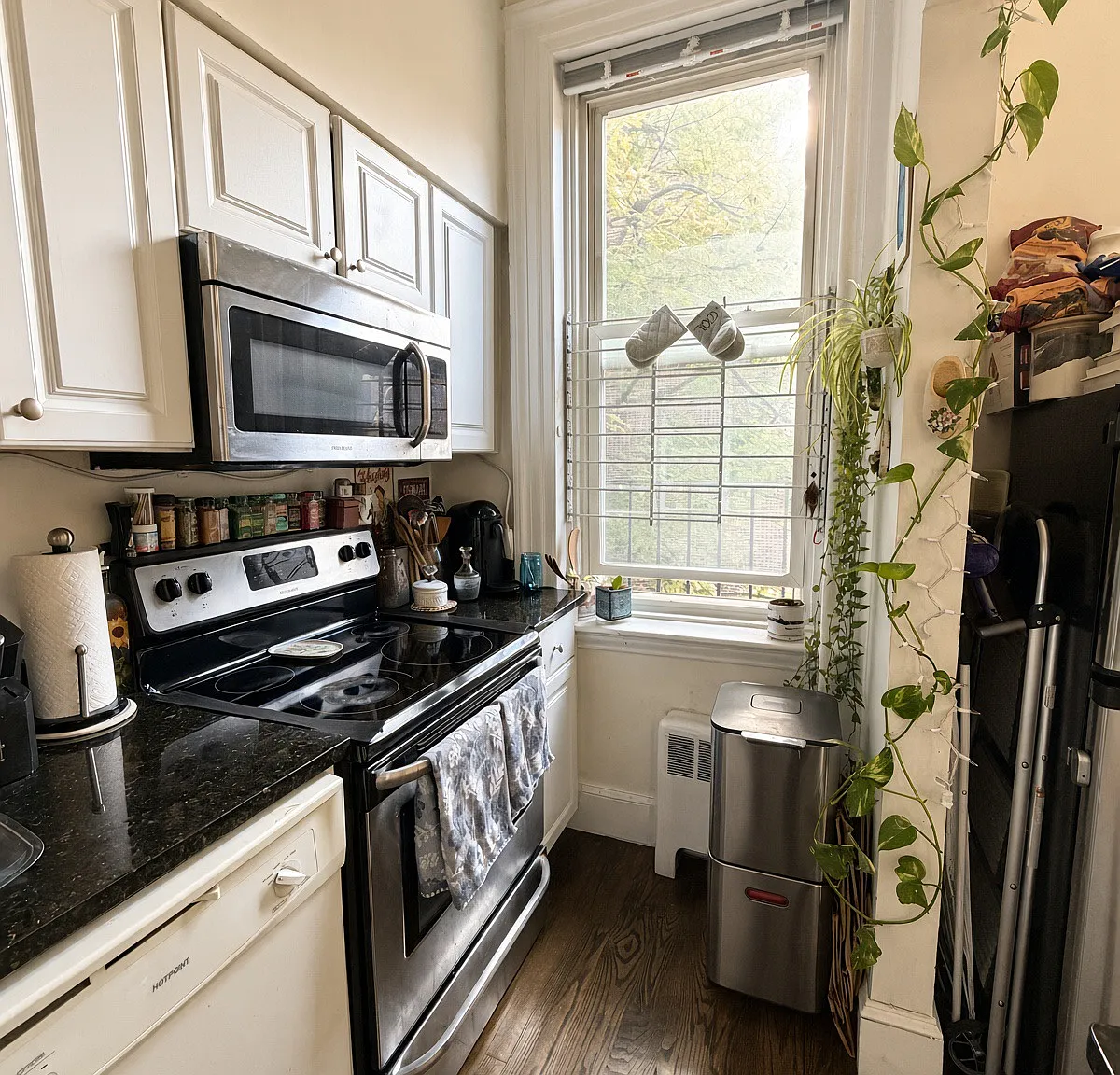 1 bed, 500 sqft, $2,940 — Photo 4