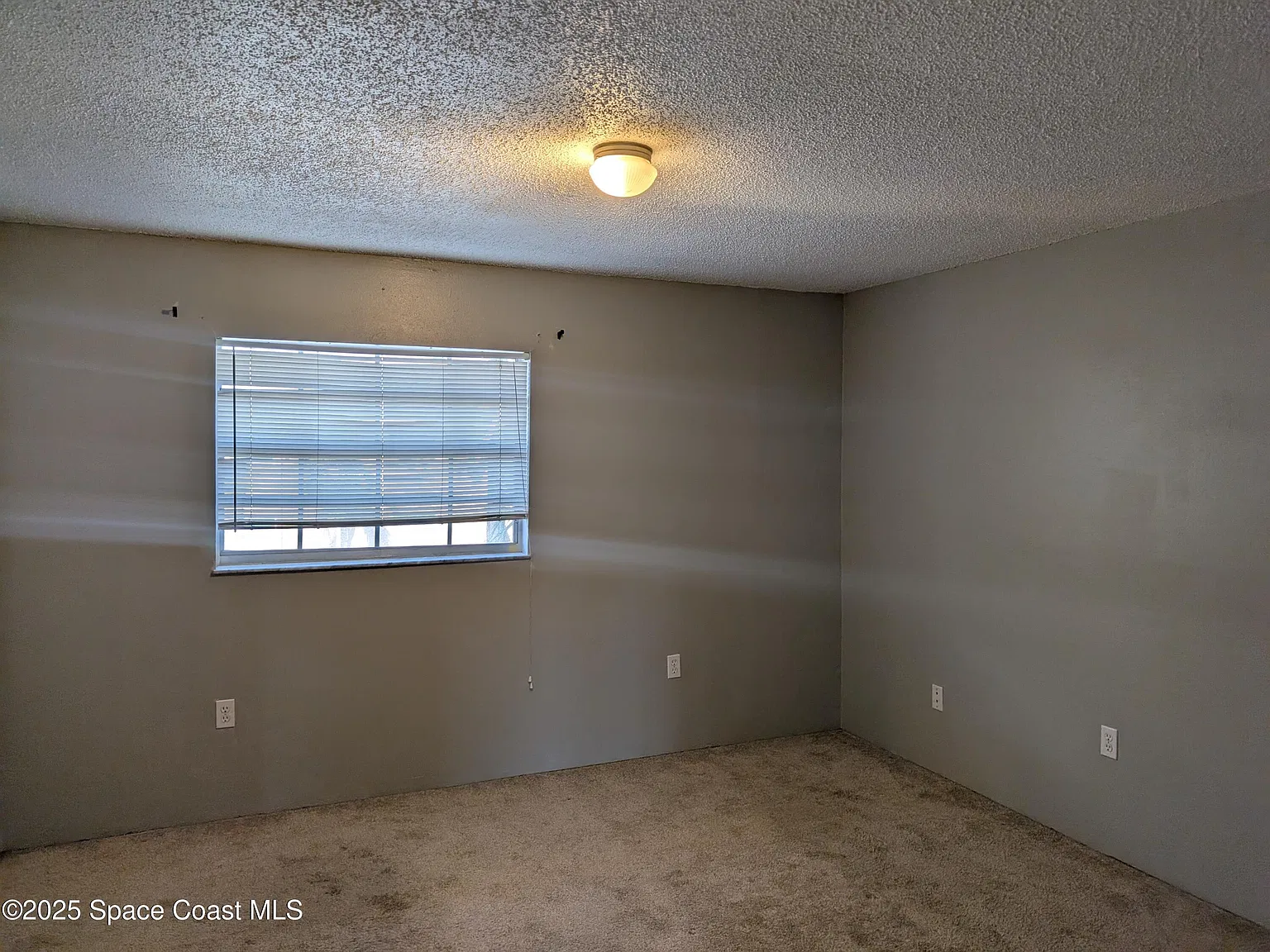 1 bed, 1.0 bath, 602 sqft, $1,200 — Photo 3
