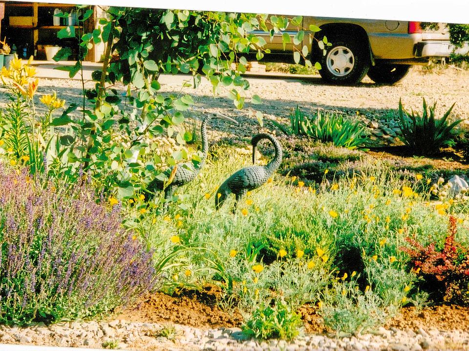 round about garden area