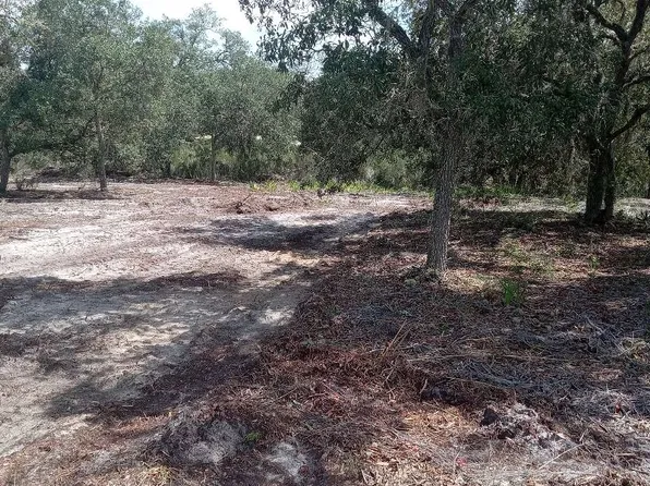 NE 87th Pl, Bronson, FL 32621