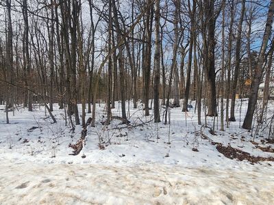 1 Driftwood Dr, Fenton, MI, 48430