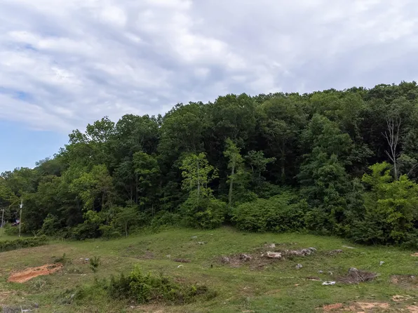 Rhodes Rd, New Market, TN 37820