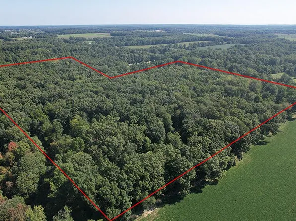 29 Mile Rd, Homer, MI 49245