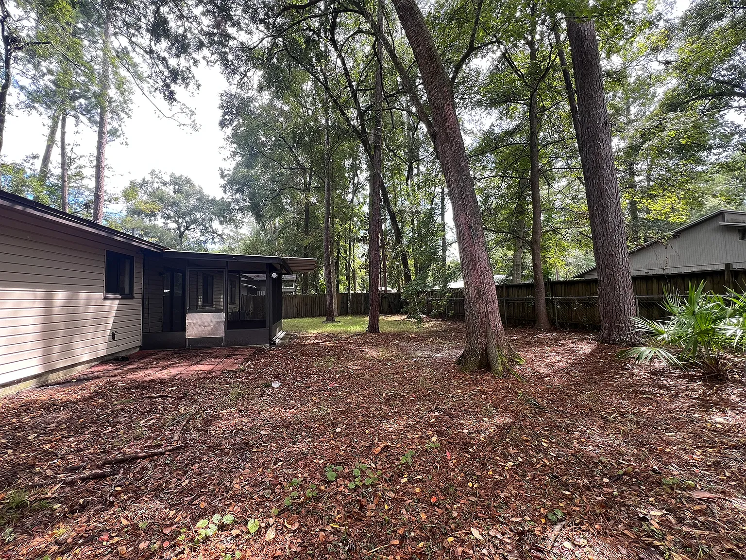 3 bed, 1226 sqft, $2,200 — Photo 4