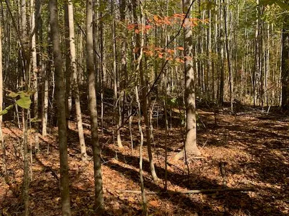 17 Ac Tc Walker Road Route Ln #629, Gloucester, VA 23061