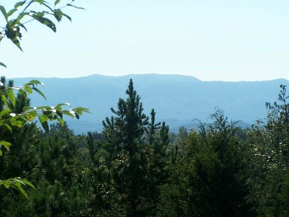 VIEW FROM DECK
